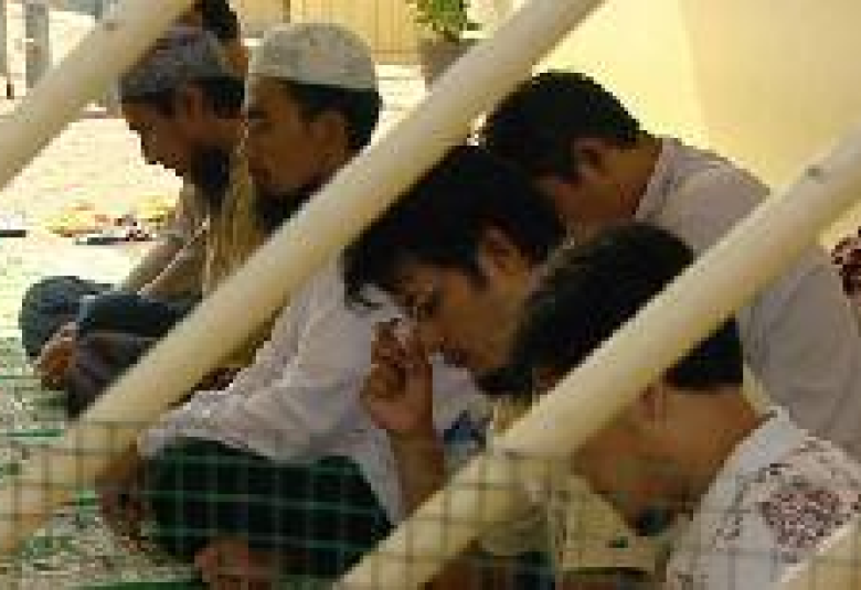 
<span>السجن والجنة: قصة الإرهاب والذين نجوا منه</span>
