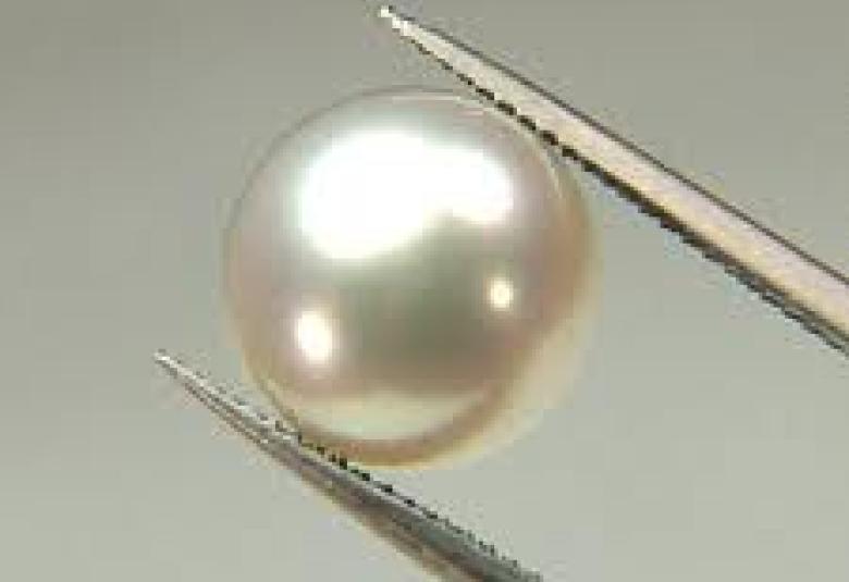 
<span>اللؤلؤ والمرجان من حكم بديع الزمان سعيد النورسي</span>
